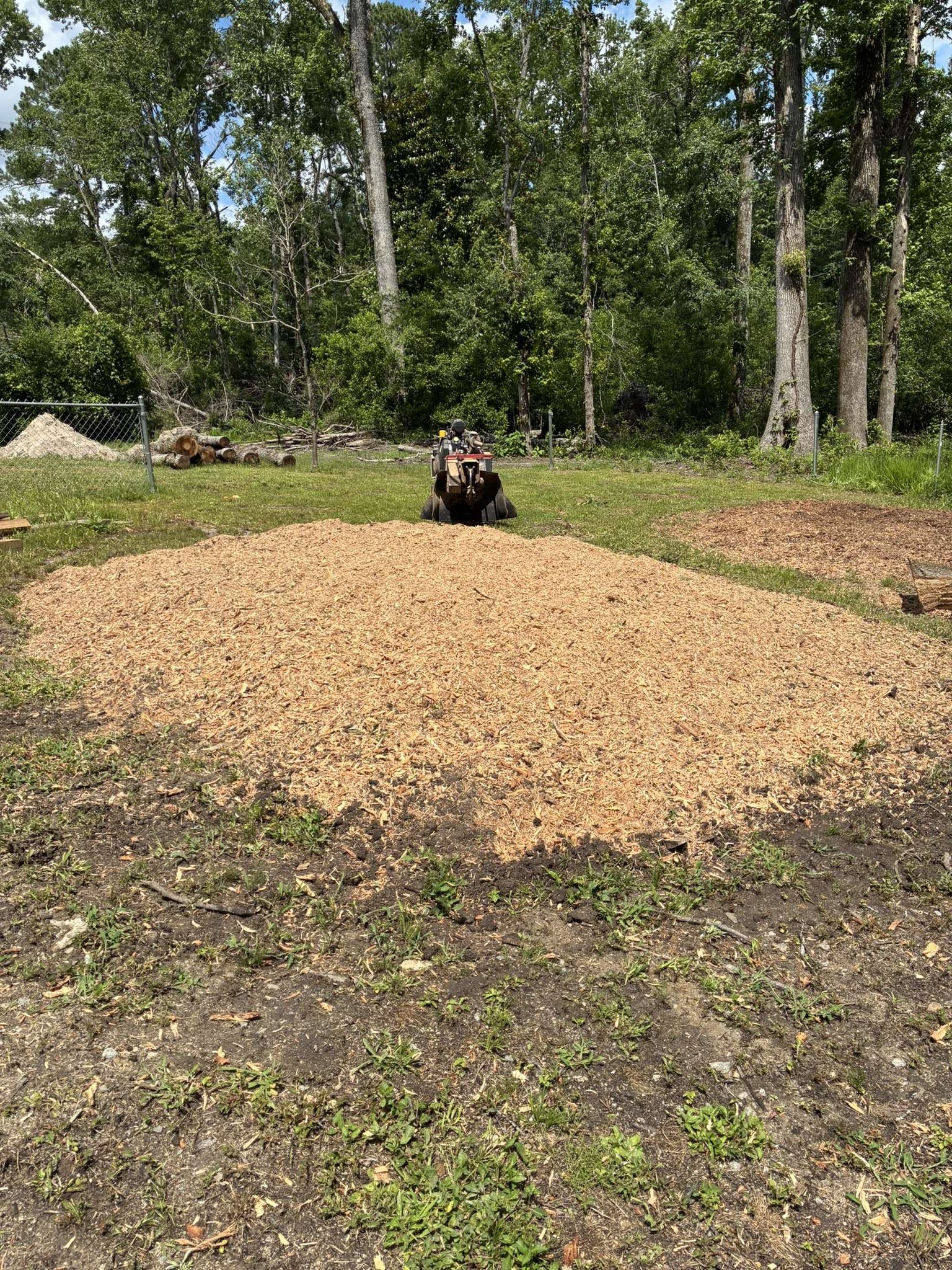 Ground after stump grinding